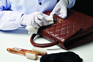 Protect your luxury bag with DGAZ Shaper