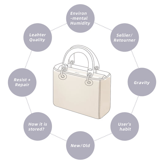 DGAZ Purse Pillow Shaper Insert For Lady-Dior Micro/Mini/S/M/L Bags,Luxury Handbag Tote Shapers, Memory Foam
